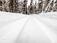 Park Narodowy Oulanka